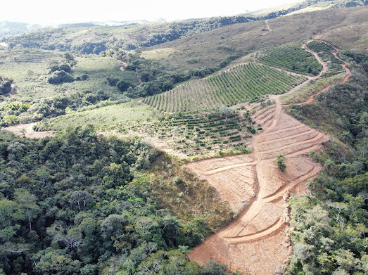 🌱 Fazenda à Venda – Excelente Oportunidade para Produção de Café ☕
