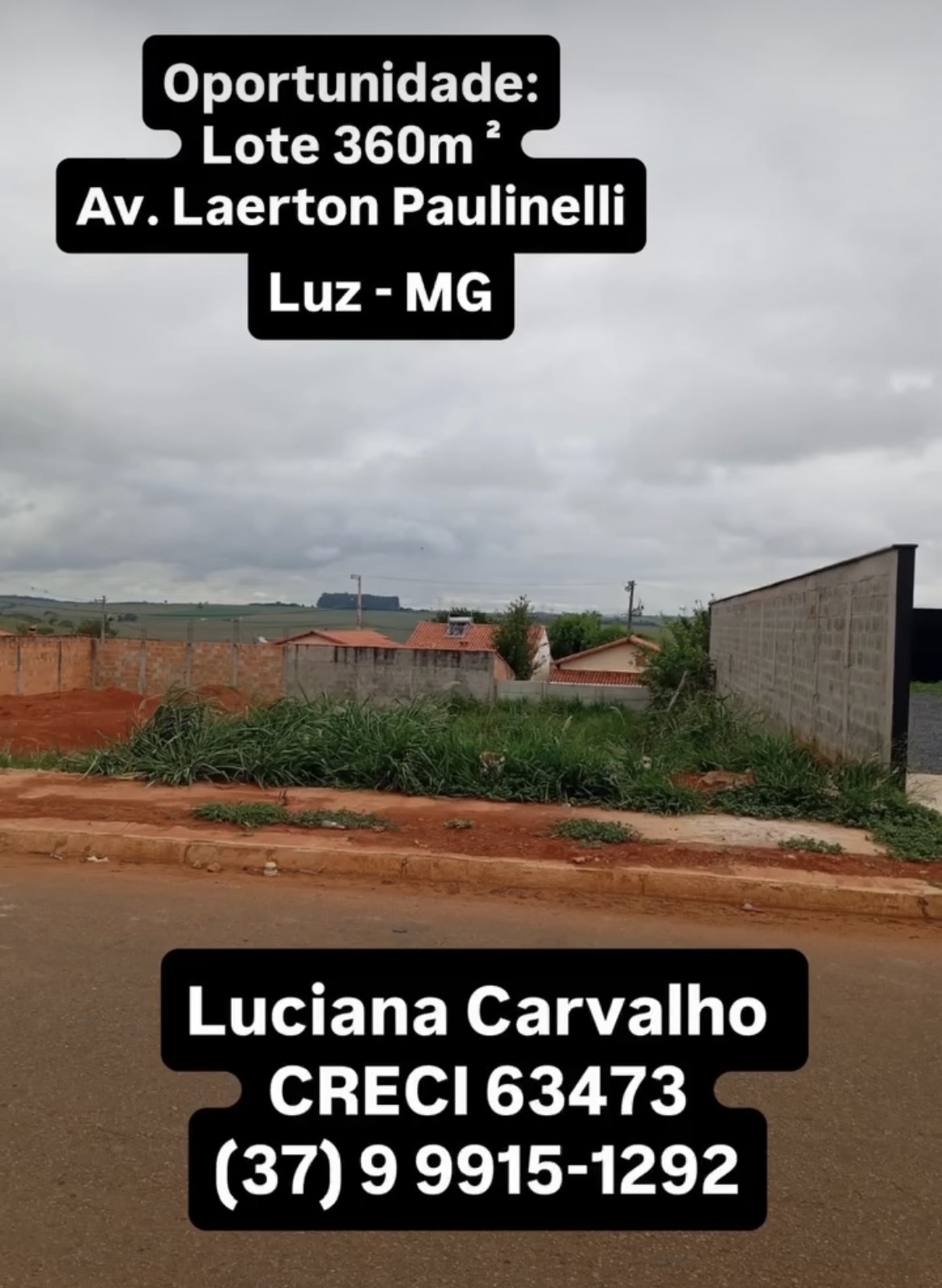 Lote