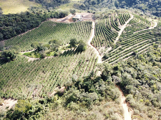 Foto 4 do im�vel 🌱 Fazenda à Venda – Excelente Oportunidade para Produção de Café ☕