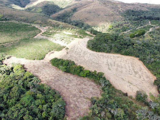 Foto 2 do im�vel 🌱 Fazenda à Venda – Excelente Oportunidade para Produção de Café ☕